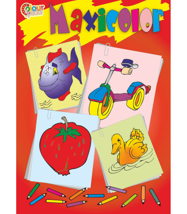 MAXICOLOR COLORING BOOK 80 PAGES 2 TYPES Boek Specials Nederland bv
