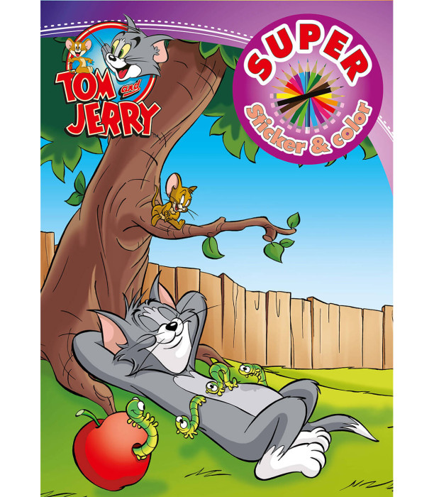 COLORING BOOK + STICKERS WARNER BROS HEROES 32 PAGES 6 TYPES Boek Specials Nederland bv