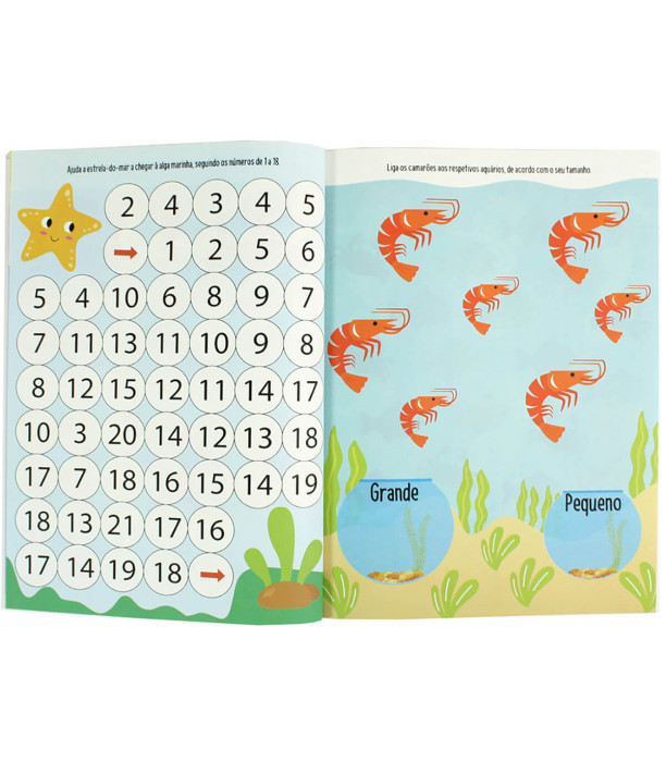 COLORING BOOK WITH WINDOW 28 PAGES 4 TYPES Europrice