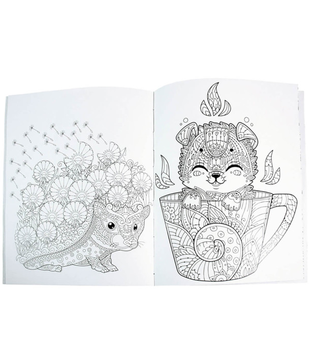 HARDCOVER COLORING BOOK 64 PAGES 4 TYPES Europrice
