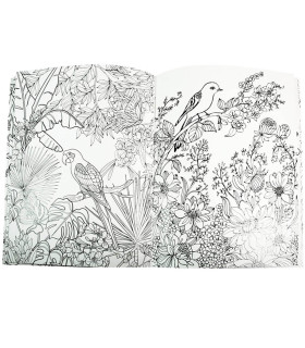 HARDCOVER COLORING BOOK 64 PAGES 4 TYPES Europrice