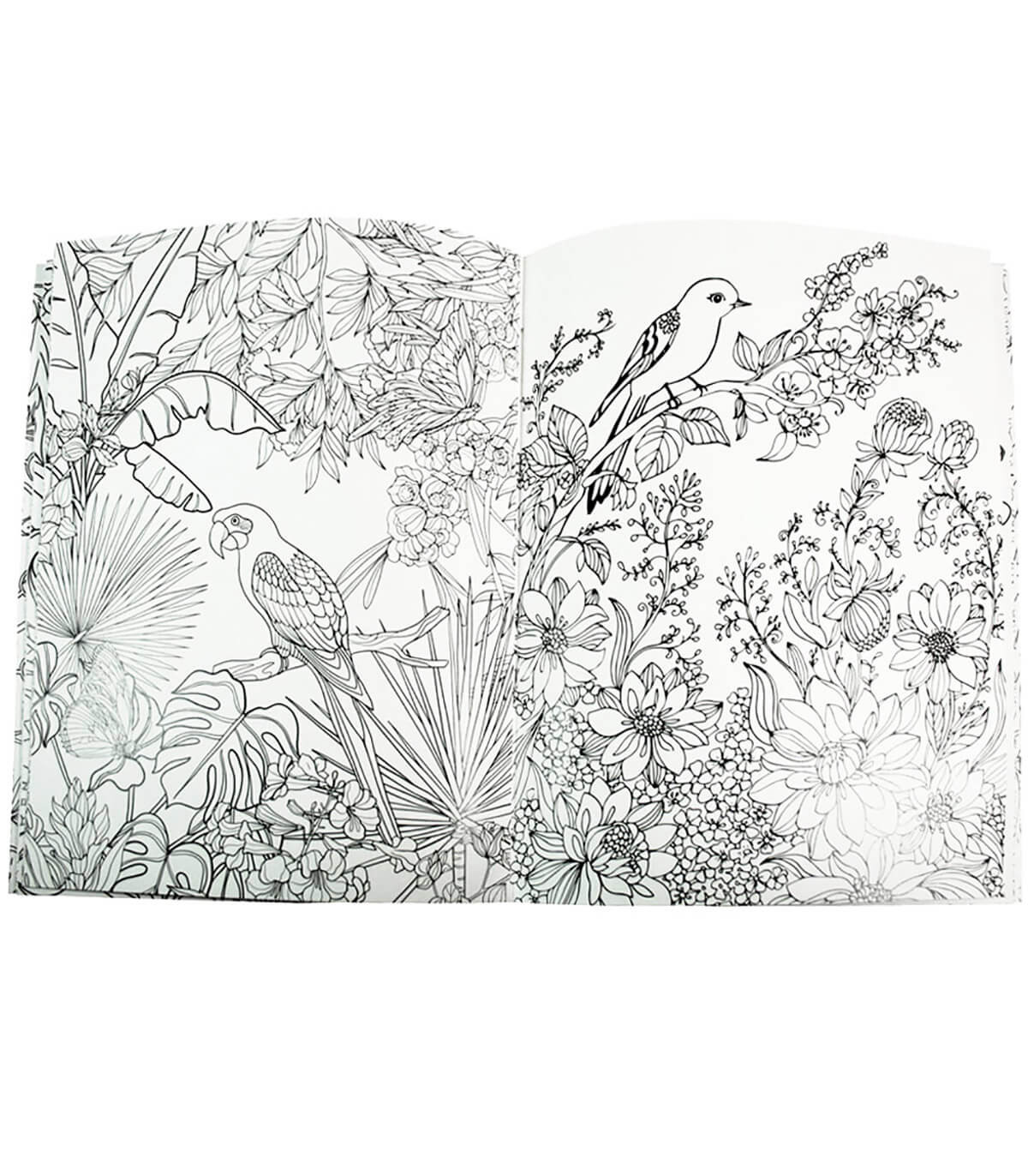 HARDCOVER COLORING BOOK 64 PAGES 4 TYPES Europrice