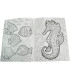 HARDCOVER COLORING BOOK 64 PAGES 4 TYPES Europrice
