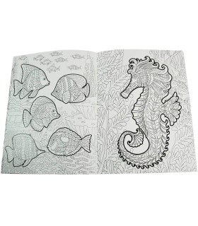 HARDCOVER COLORING BOOK 64 PAGES 4 TYPES Europrice