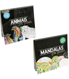 COLORING BOOK WITH 12 SILVER PAGES, 2 TYPES Europrice