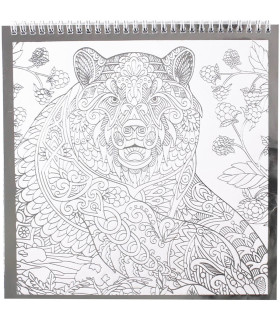 COLORING BOOK WITH 12 SILVER PAGES, 2 TYPES Europrice