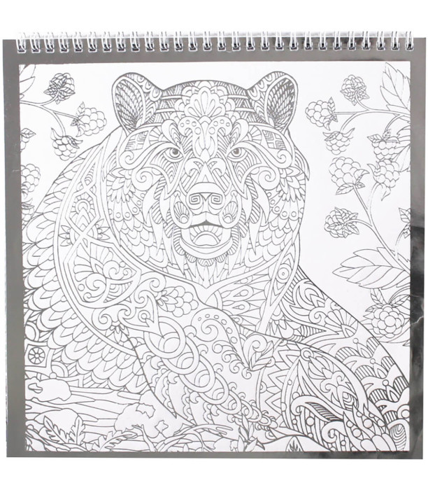COLORING BOOK WITH 12 SILVER PAGES, 2 TYPES Europrice
