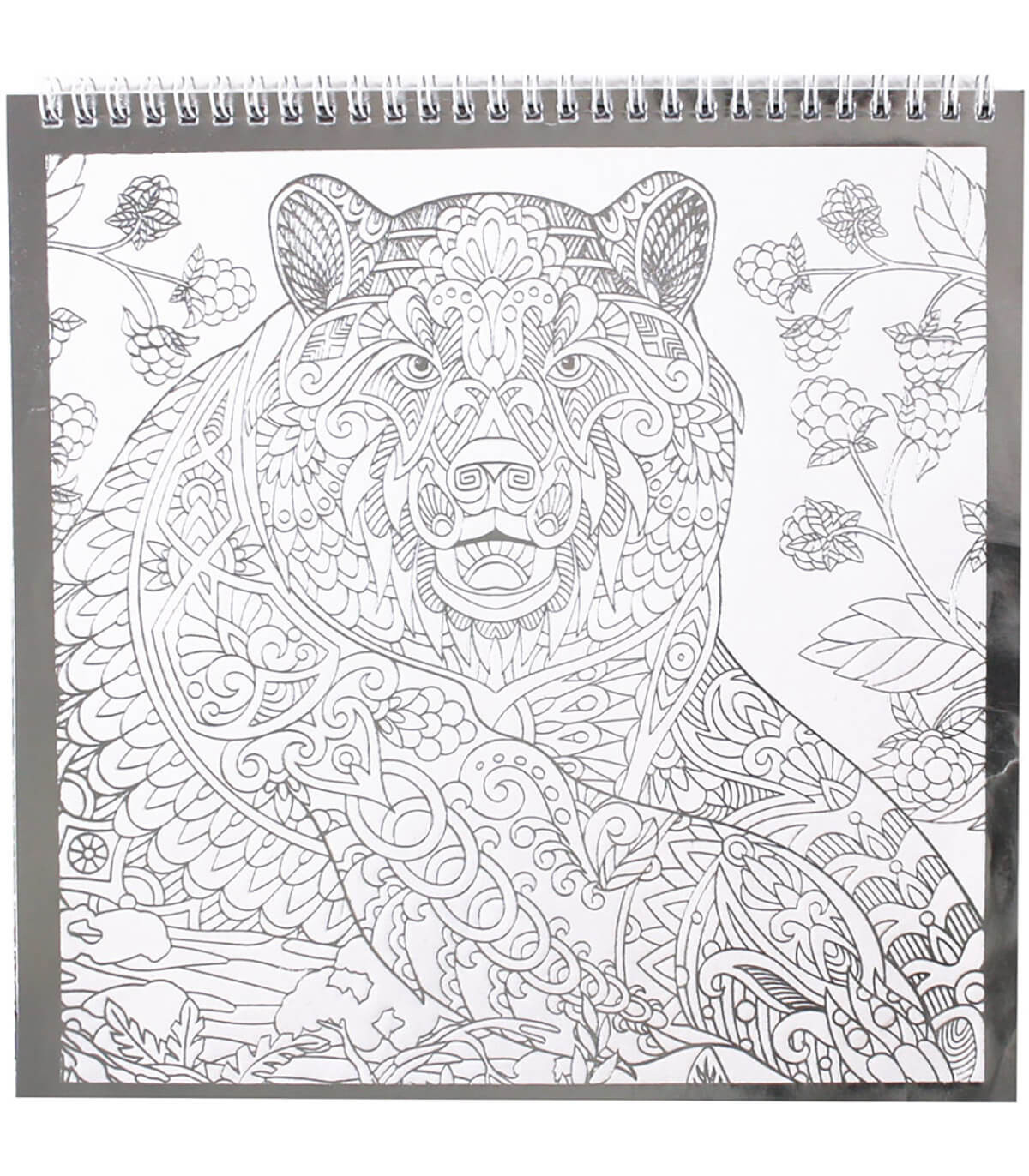 COLORING BOOK WITH 12 SILVER PAGES, 2 TYPES Europrice