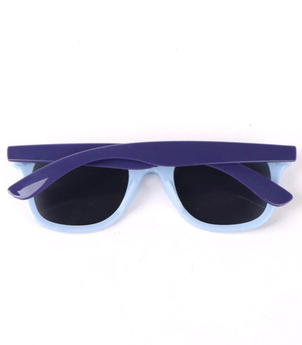 CHILDREN'S SUNGLASSES WITH BLUEY CASE Cerda
