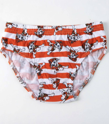 BOYS' UNDERWEAR 5 PCS IN PAW PATROL BAG 2-8 YEARS Cerda