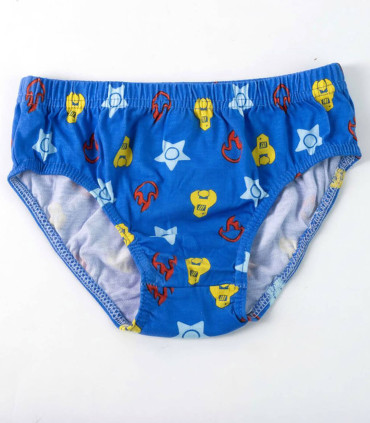 BOYS' UNDERWEAR 5 PCS IN PAW PATROL BAG 2-8 YEARS Cerda