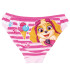 CHILDREN'S SWIM BRIEFS PAW PATROL SKYE 2-4-6 YEARS. Arditex