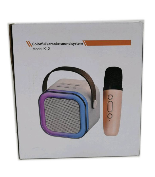 KARAOKE MICROPHONE WITH SPEAKER Armtoys