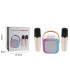 2 PCS. KARAOKE MICROPHONE WITH SPEAKER Armtoys