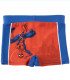 CHILDREN'S BOXER SWIMSUIT SPIDERMAN 3-8 YEARS. Cerda