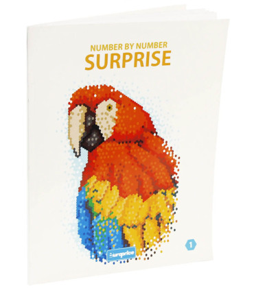 DRAW BY NUMBERS SURPRISE 48 PAGES 4 TYPES 