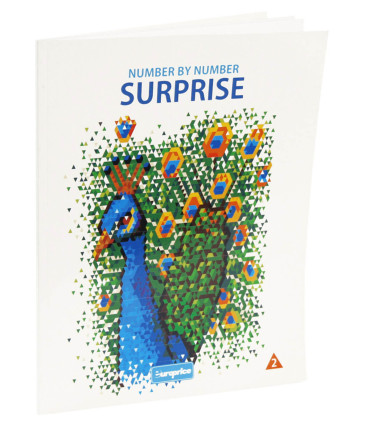DRAW BY NUMBERS SURPRISE 48 PAGES 4 TYPES 