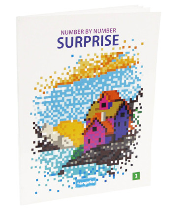 DRAW BY NUMBERS SURPRISE 48 PAGES 4 TYPES 