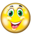 LARGE PVC BALL EMOJI 23 CM
