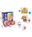 PLUSH DOG WITH A LEASH IN A BOX