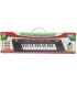 PIANO WITH MICROPHONE, 32 KEYS
