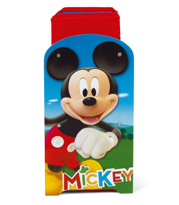 MICKEY ORGANIZER WITH 6 COMPARTMENTS