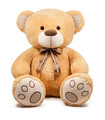 TEDDY BEAR WITH DOUBLE TAPE 2 COLORS 60 CM