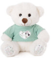 TEDDY BEAR WITH T-SHIRT 2 COLORS 25 CM