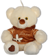 TEDDY BEAR WITH SWEATSHIRT AND FLOWER - Small