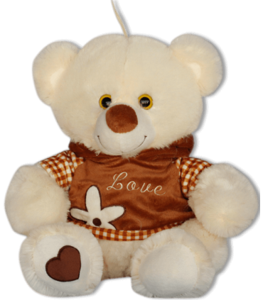 TEDDY BEAR WITH SWEATSHIRT AND FLOWER - Small