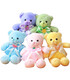TEDDY BEAR WITH RIBBON AND FRUIT 36 CM 5 COLORS - Medium