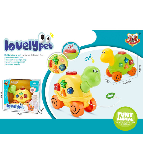 BABY MUSICAL TOY TURTLE PULL ALONG IN BOX - Musical