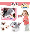 PLUSH WALKING DOG WITH SOUND AND LEASH IN BOX, GRAY