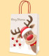 CHRISTMAS GIFT BAG 33X24X12 7 TYPES - PACKAGING AND BATTERIES