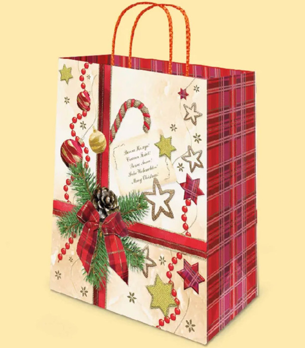 LARGE CHRISTMAS GIFT BAG 43X34X14 11 TYPES - PACKAGING AND BATTERIES